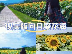 -君乐宝优致牧场