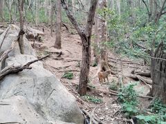 -普洱太阳河森林公园