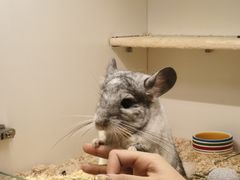 -龙猫仔乐园(惠福东路店)