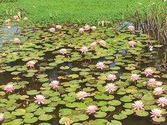 -厦门海湾公园游乐场