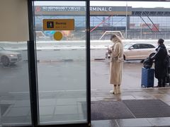 -谢列梅捷沃国际机场