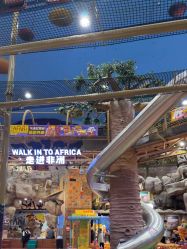 -卡通尼·Safari非洲探索乐园·生日会(金桥国际商业广场店)