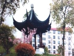 -上海财经大学(国定路校区)