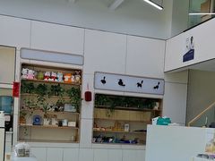 -凯瑞希宠物医院·狂犬免疫·微创·皮肤科