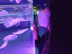 -辛玛王国游乐园