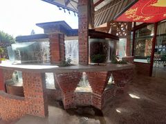 -凤阁楼果木烧鹅(鹤山陈山店)