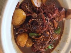 -京食源烧鸽子