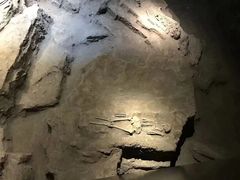 -侵华日军南京大屠杀遇难同胞纪念馆-停车场