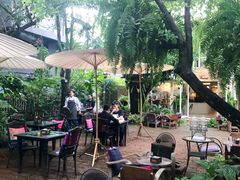 -Fern Forest Cafe