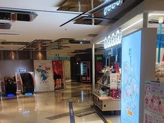 -上海金逸影城(静安大悦城店（原新恒星影城）)