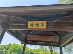 -大兴滨河森林公园