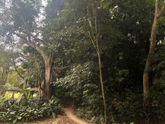 -中国科学院西双版纳热带植物园