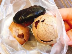 -金盆阿嬷香菇茶叶蛋(玄光店)