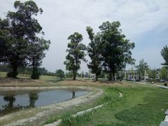 -两河城市森林公园