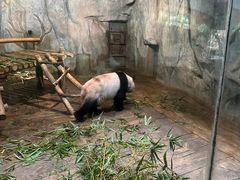 -深圳野生动物园
