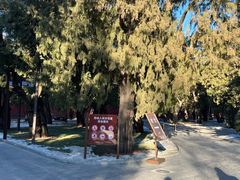 -北京市劳动人民文化宫(太庙)