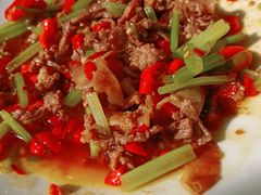 -饭怕鱼(阳光100店)