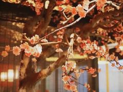 -杏花堂山西菜馆(壹方城店)