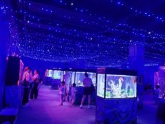 -金铂广场(龙归店)