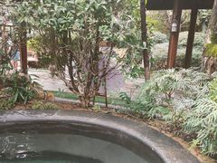 -万象温泉景区