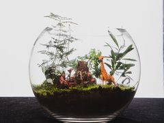 -荷兰布尔玛国际花艺学院