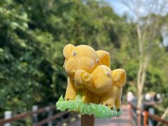 -野象谷景区