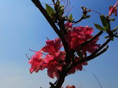 -终南山国家森林公园