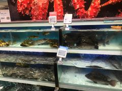 水产区-盒马鲜生(红莲店)