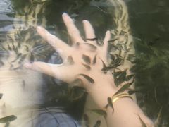 -龙达温泉生态城