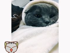 -达爱动物医院·犬猫分区·CT·复杂眼科(远洋山水分院)