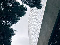 -白天鹅宾馆·流浮阁咖啡厅