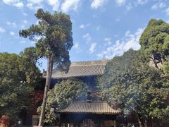 -洛阳白马寺