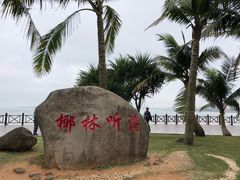 -万绿园