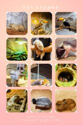 -Zoolung Zoolung动物主题公园(海信广场店)