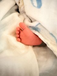 -爱弥儿月子中心(省医院店)