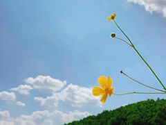 -丹东市五龙山风景区