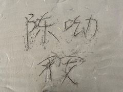 -上海滨江森林公园