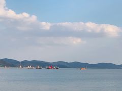 -上海市保健医疗中心