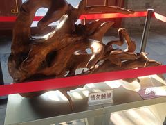 -莲池书院博物馆