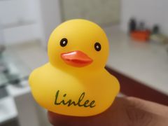 -LINLEE林里·手打柠檬茶(黄浦茂名南路店)