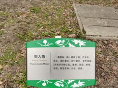 -白塘生态植物园