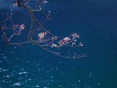 -叠溪松坪沟景区