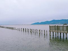 -哈素海