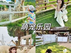 -栖露营camping·天幕烧烤·团建拓展·采摘营地