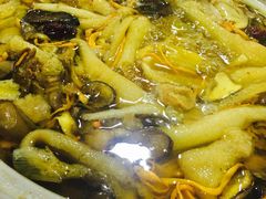 -江川野生菌火锅铜锅鱼(贵清火锅店)