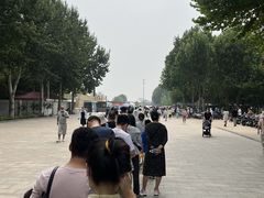 -石家庄市植物园