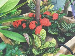 -胡桃里音乐酒馆(下沙店)