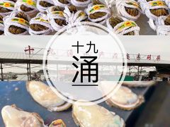 -大湾区中央湿地公园-十九涌