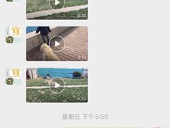 -趣玩宠物乐园寄养训犬训狗游泳池