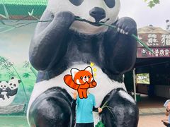 -西霞口神雕山野生动物世界